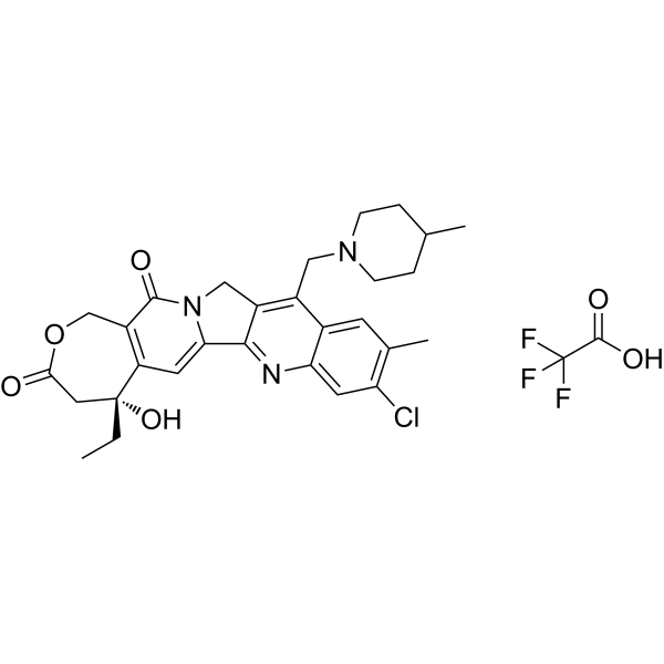 Elomotecan TFA